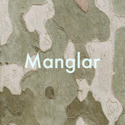 Manglar