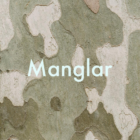 Manglar