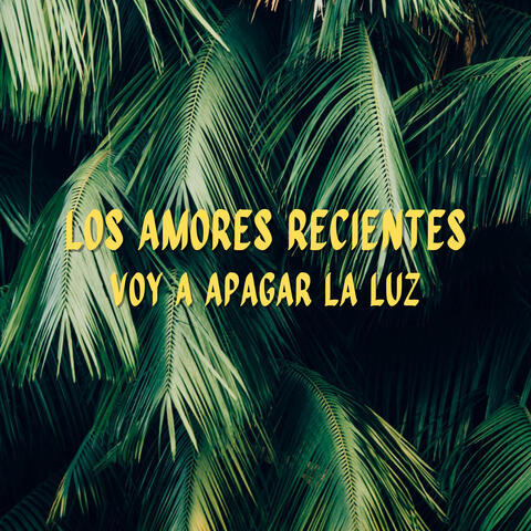 Voy A Apagar La Luz