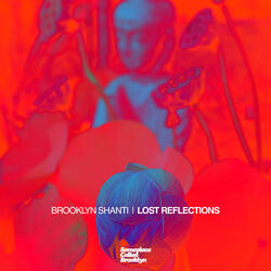 Lost Reflections