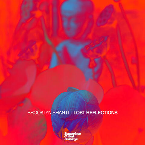 Lost Reflections