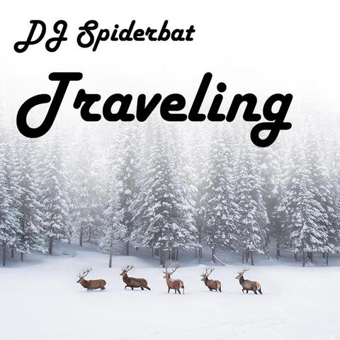 DJ Spiderbat