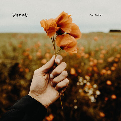 Vanek