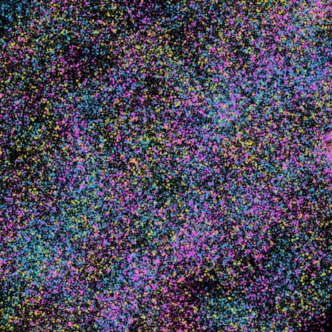 Starry Sparkle