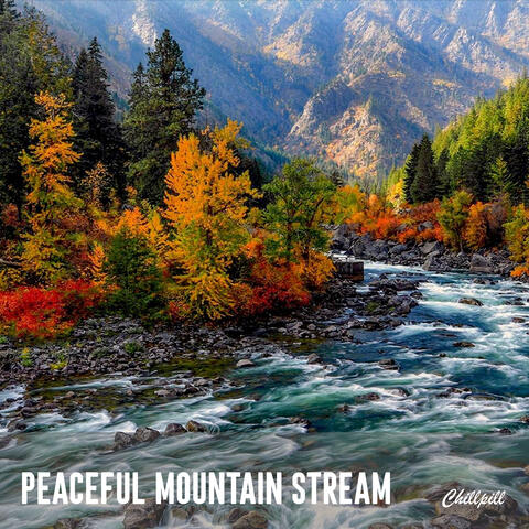 Peaceful Mountain Stream