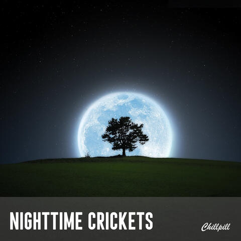 Nighttime Crickets