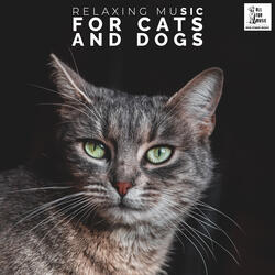 Cats Home Alone Songs