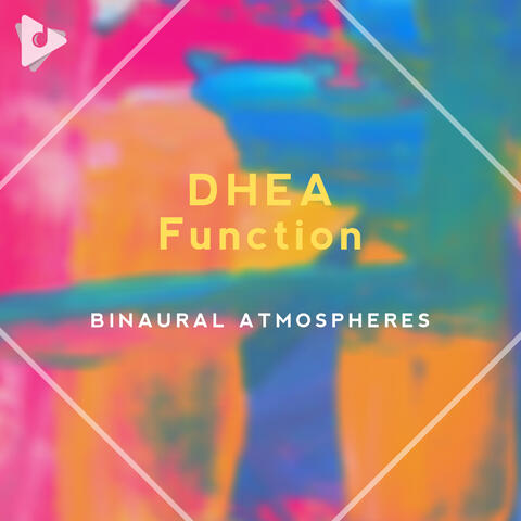 DHEA Function