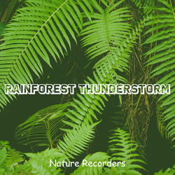 Tropical Thunderstorm