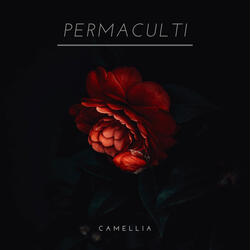 Amelia