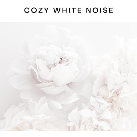 Cozy White Noise
