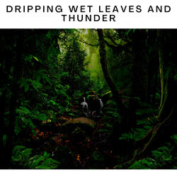 Pouring Rain - Striking Thunder