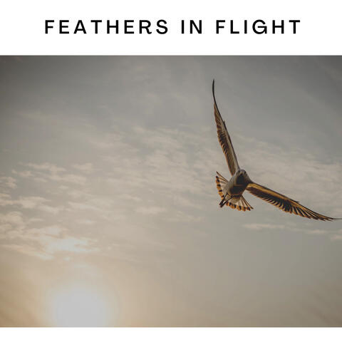 Feathers in Flight