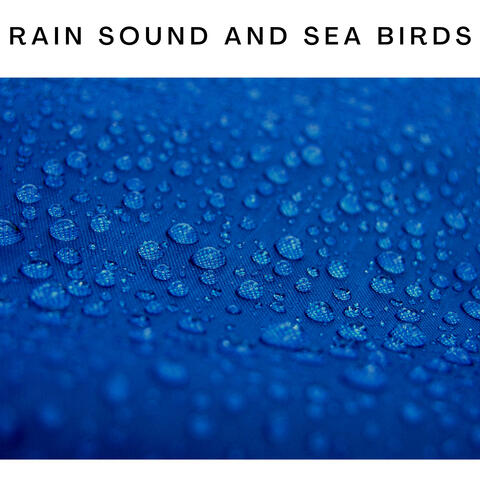 Rain Sound and Sea Birds