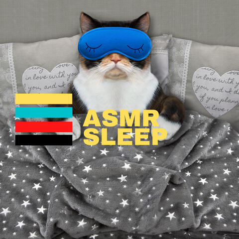ASMR - Sleeping Street Sounds