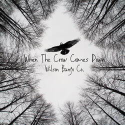 When The Crow Comes Down