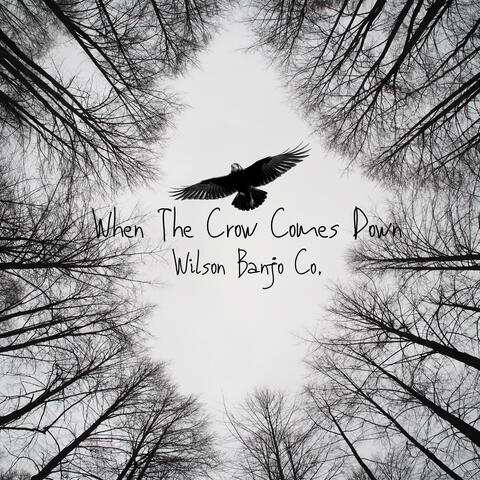 When The Crow Comes Down