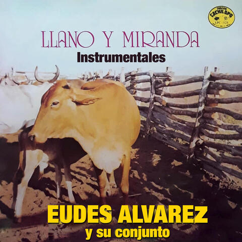 Llano Y Miranda