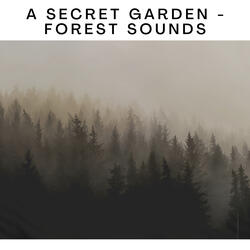 A Secret Garden - Forest Sounds