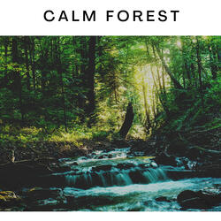 Walking Through the Jungle