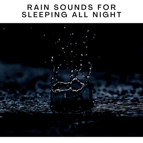 Steady Forest Rain