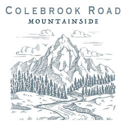 Mountainside