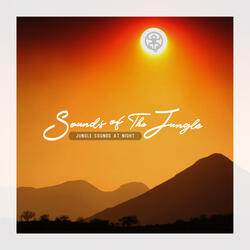 Crickets & Frogs Evening Soundscapes
