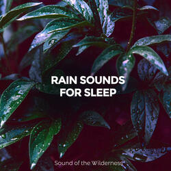 Storm Soundscapes