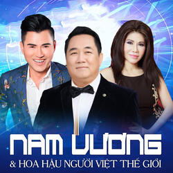 20 Năm Tình Viễn Xứ