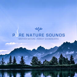 Mother Nature Forest Soundscapes