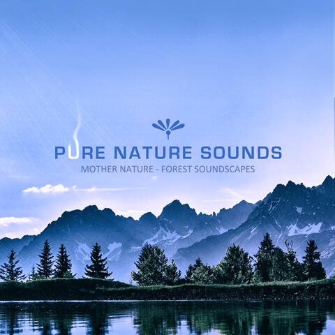 Mother Nature Forest Soundscapes