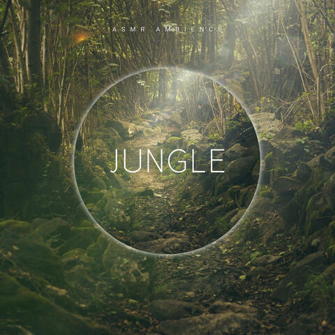 Jungle Sounds ASMR