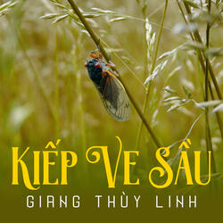 Bước Chân Lẻ Loi