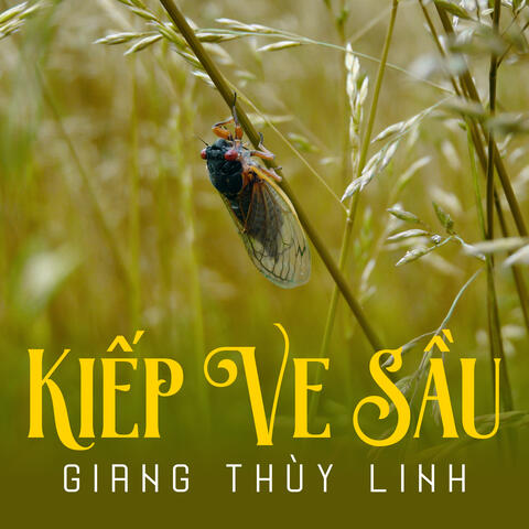 Kiếp Ve Sầu
