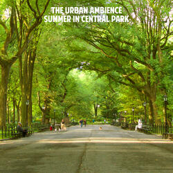 Bikes and Horses in Central Park