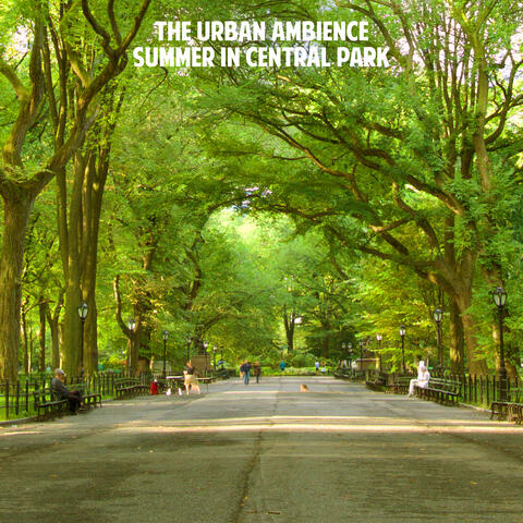 Summer in Central Park