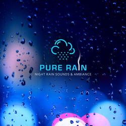 Night Rain Sounds & Ambiance