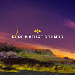 Pastel Skies Loop (Rain)