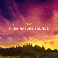 High Vibrations (Meditation)