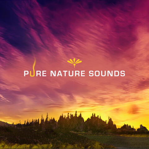 High Vibrations (Meditation)