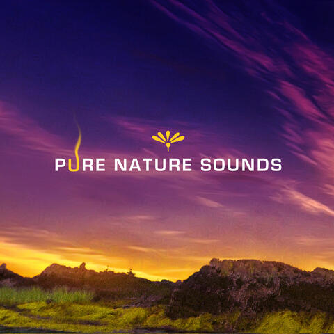 Butterfly Effects (Spa)