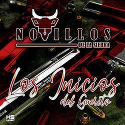 Los Inicios del Guerito