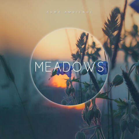 Meadows (Nature)