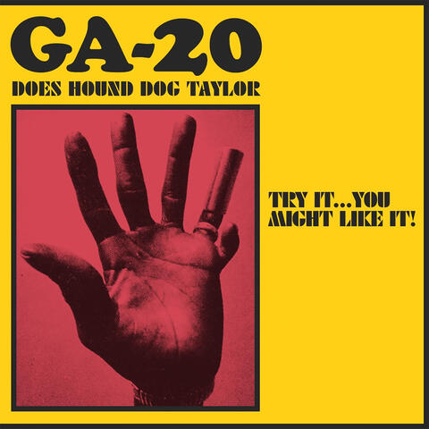 Try It...You Might Like It: GA-20 Does Hound Dog Taylor