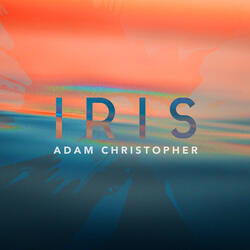 Iris (Acoustic)