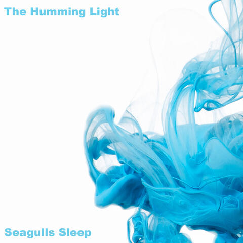 Seagulls Sleep