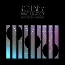 Rare Jubilation (feat. Joseph Shabason)
