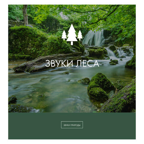 Звуки леса