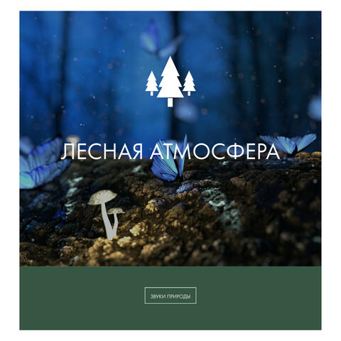 Лесная атмосфера