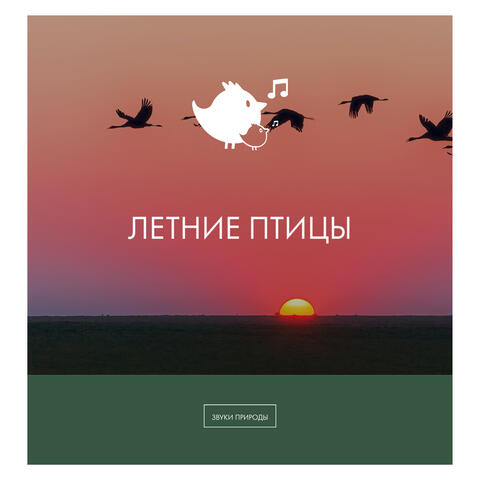 летние птицы